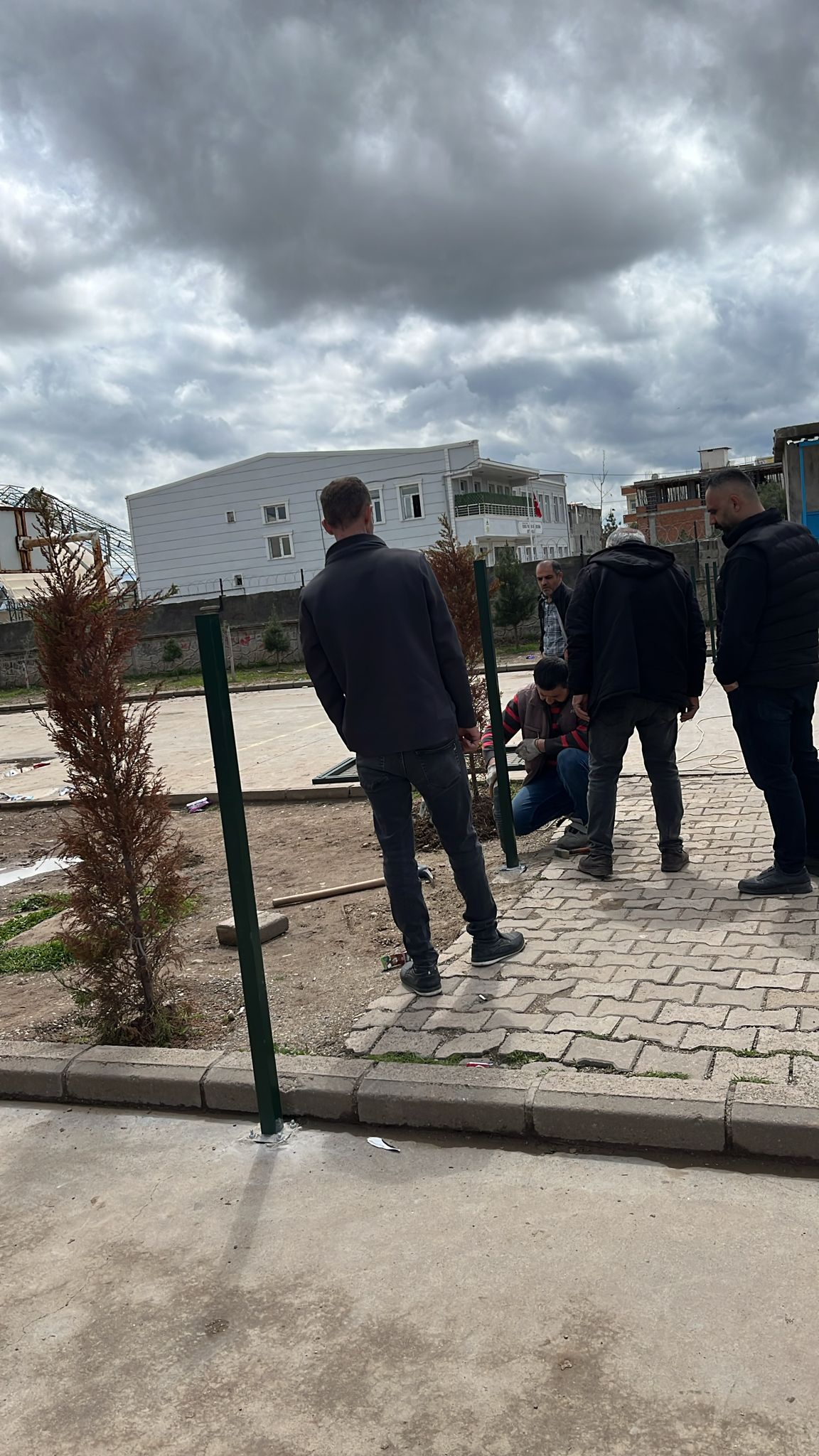 Proje